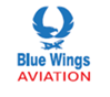 BLUE WINGS